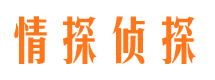 尼玛调查公司